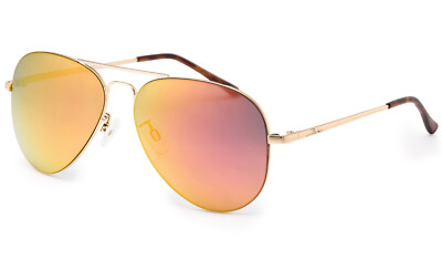 Bloc Darwin F925 Herren/Damen Metallgestell Sonnenbrille GOLD/ROSÉGOLD KAT.3