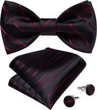Men Bow Tie Paisley Striped Self-Bow Tie for Men and Silk Woven Bowtie Pocket Sq