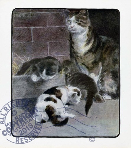 Book of the CAT (1903) Mabel Humphrey Elizabeth Bonsall story Kitty Kittens Cats - Picture 8 of 12