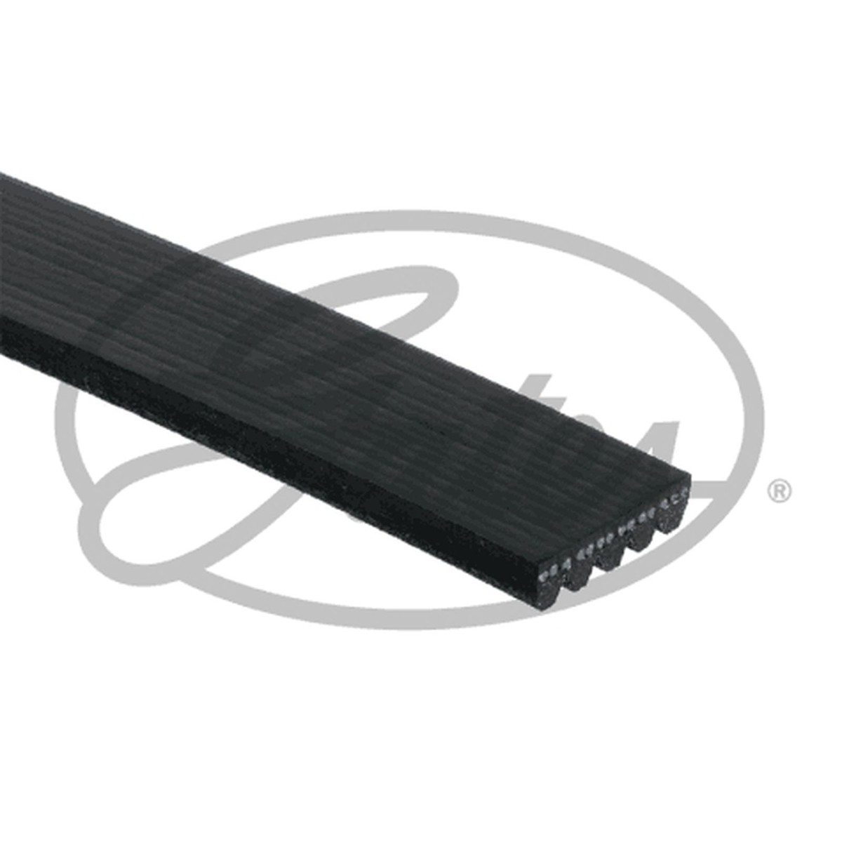 5 Rib Multi V Drive Belt For Toyota Vista/Camry V3, V4 1.8 Gates