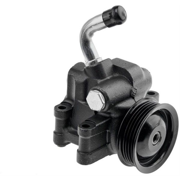 NTY Hydraulikpumpe Lenkung Servopumpe FüR Ford Fiesta V Jh_ Jd_ 1.25 16V-image