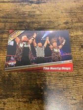 2010 TriStar TNA New Era #17 The Nasty Boys