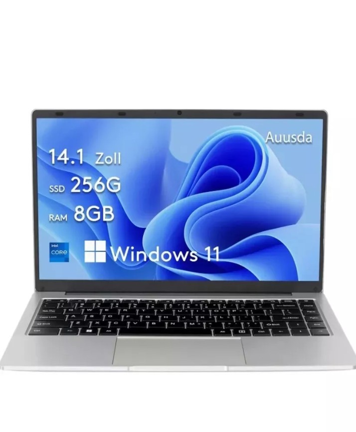 Portátil CHUWI GemiBook XPro de 14,1 pulgadas Intel 12th N100 8 GB DDR5 256 GB