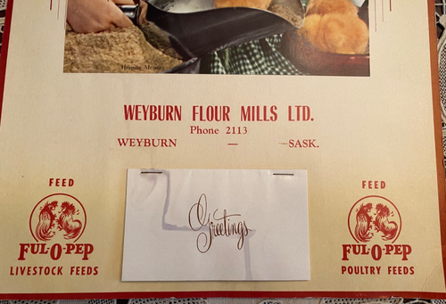 Vintage Flour Mills Paper Unused 1958 Calendar Chicks Girl Gingham 014-022 - Picture 11 of 13