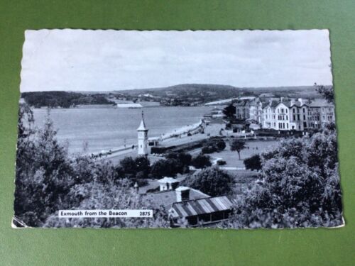 Exmouth from the Beacon, 1963 posted postcard c938 - Picture 1 of 3