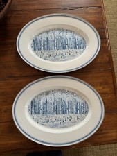 Golden Rabbit Enamelware 16" X 12" Oval Serving Platter set of 2 ASPEN GROVE NEW