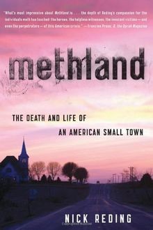 Methland: The Death and Life of an American Small Town v... | Buch | Zustand gut