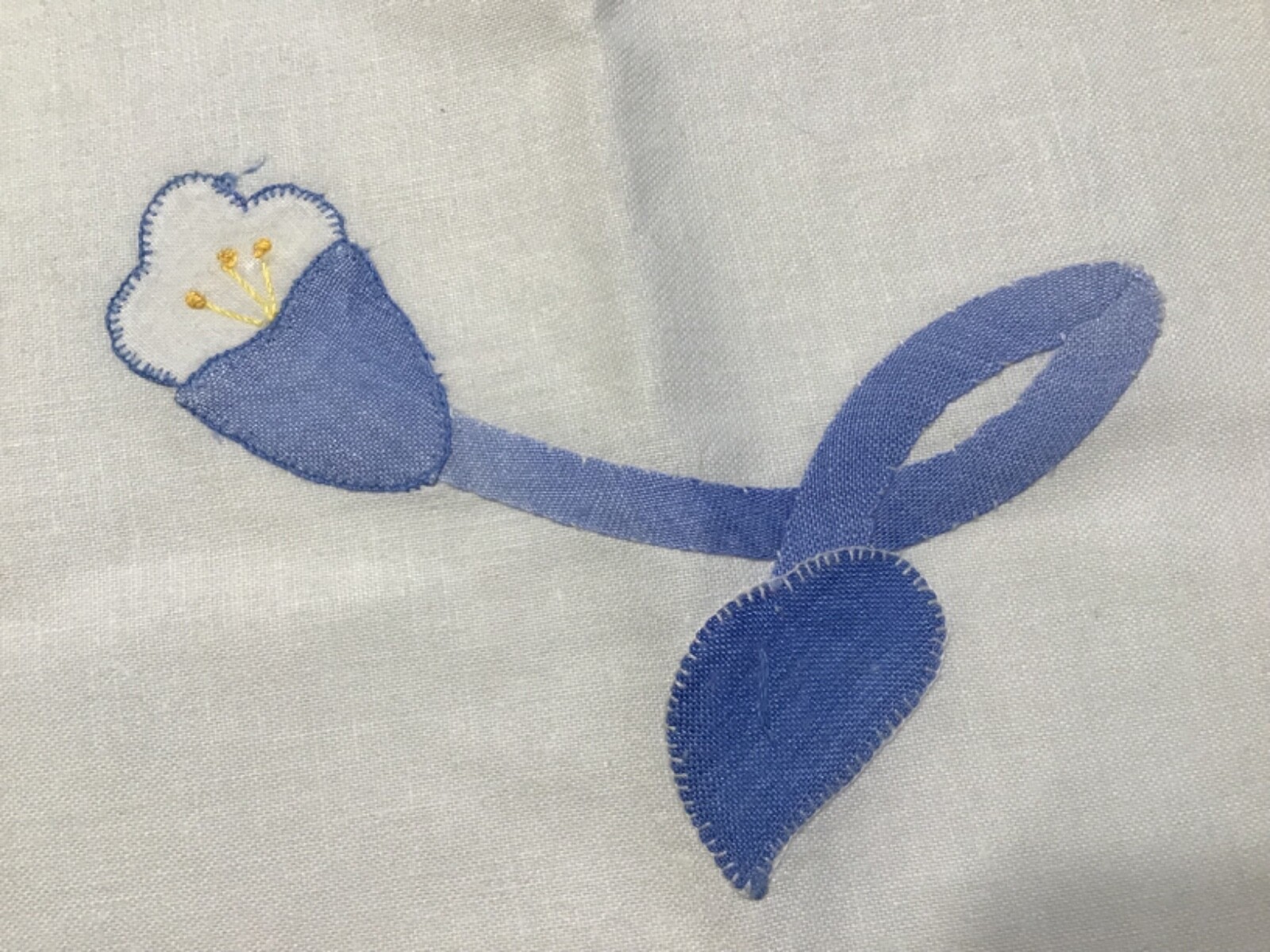 Picture 4 of 13