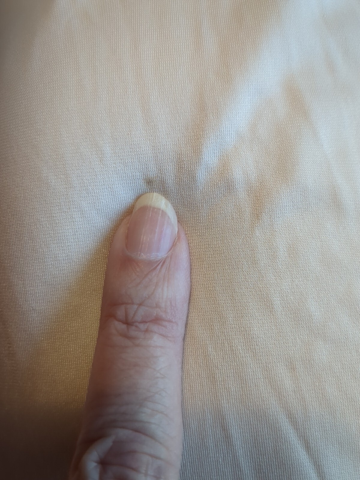 Picture 14 of 14