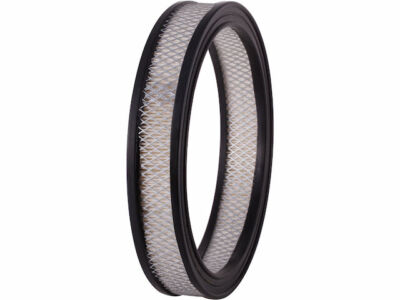 Premium Guard Air Filter fits Mercury Montego 1970-1974 4.1L 6 Cyl 58QMFK
