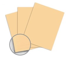 Domtar Colors Earthchoice Ivory Card Stock Paper - 110 lb, 8.5" x 11", 250 Pack