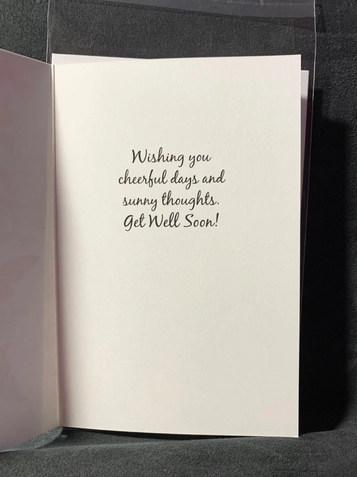 Get Well Soon Wishes Greeting Card Butterflies Dragonflies Berries - Image 2 of 2