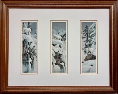 Rod Frederick ''World of White''  Triptych Signed Limited Edition Wildlife Art NEW