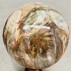 Natural Petrified Wood Polished Stone Quartz Crystal Sphere Ball Healing 1800G — photo 5