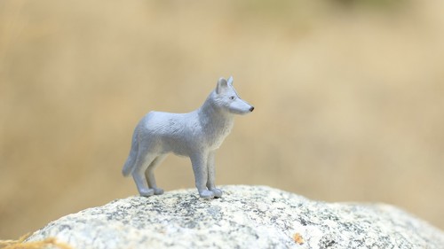 Coyote Realistic Small Toy Model Plastic Replica Forest Animal, Kids Gift F207 - Picture 8 of 9