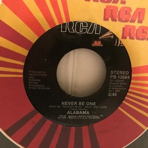 Christmas cactus arizona lights holiday light merry scottsdale winter decorations tree desert xmas palm western tours garden holidays visit cacti ALABAMA 7" VINYL SINGLE, CHRISTMAS IN DIXIE | eBay