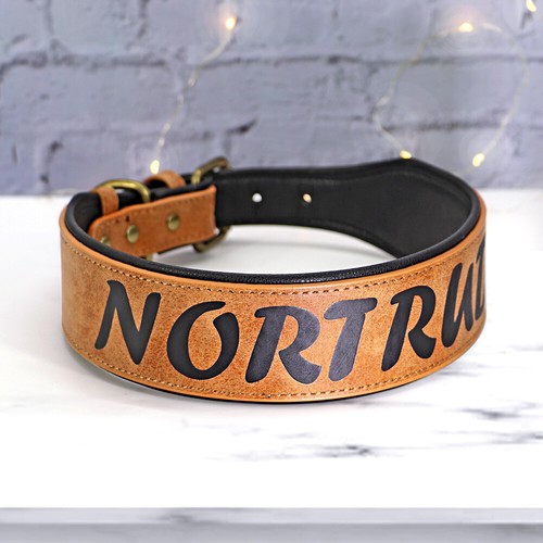 Wide PU Leather Padded Dog Collar Personalized with Name Rottweiler Labrador XL - Picture 17 of 31