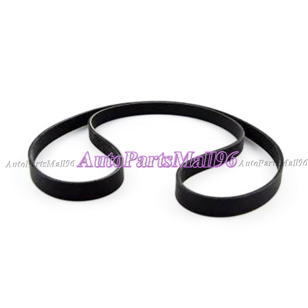 3973181 V-Ribbed Belt for Cummins Engine | eBay 