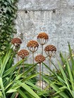 Set of 6 Rustic Metal Exotic Flowers, Unique Landscaping Art