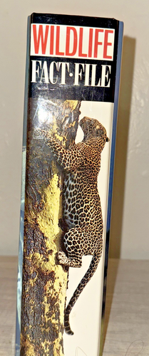 Wildlife Fact File - Picture 3 of 16