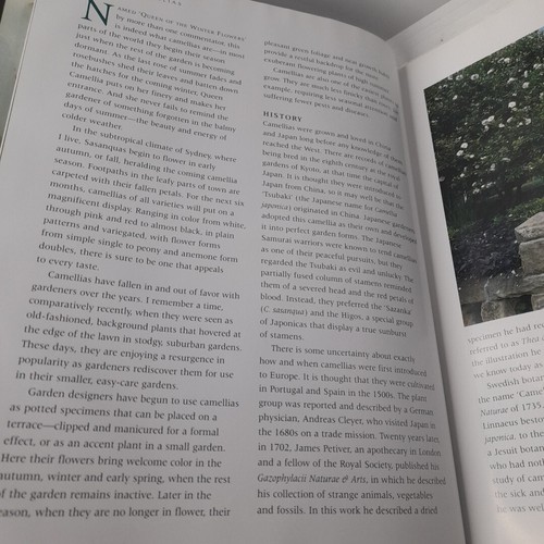 Classic Camellias For Australian Gardens By James Young Hardcover Book Pre-Owned - Picture 7 of 16