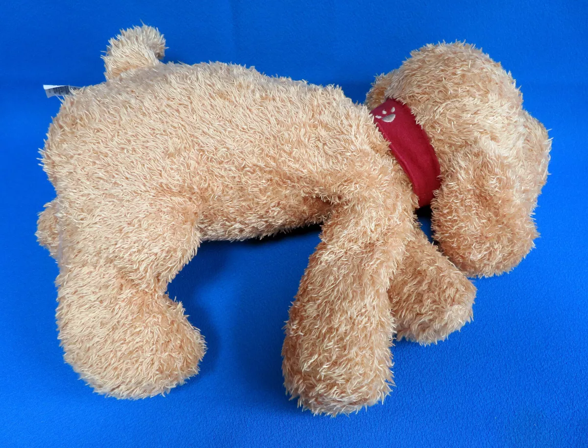 Paws soft toy clearance dog