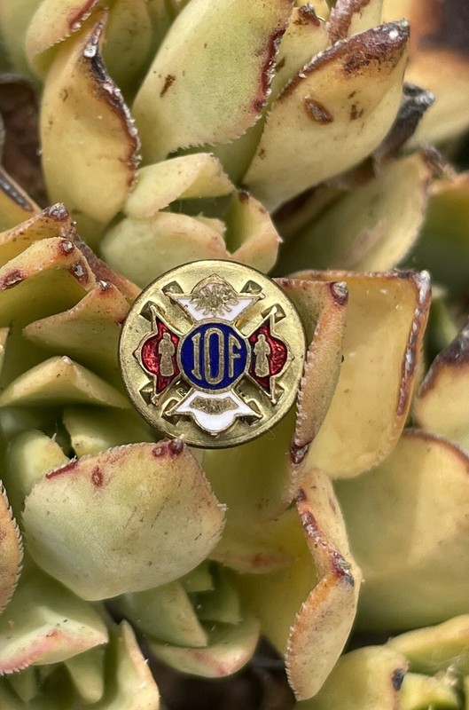 Vintage IOF Independent Order Of Foresters Pin