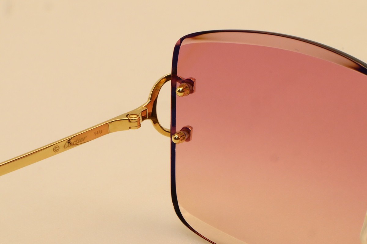 Cartier サングラス Cartier CT0386S Sunglasses - Cartier Authorized Dealer