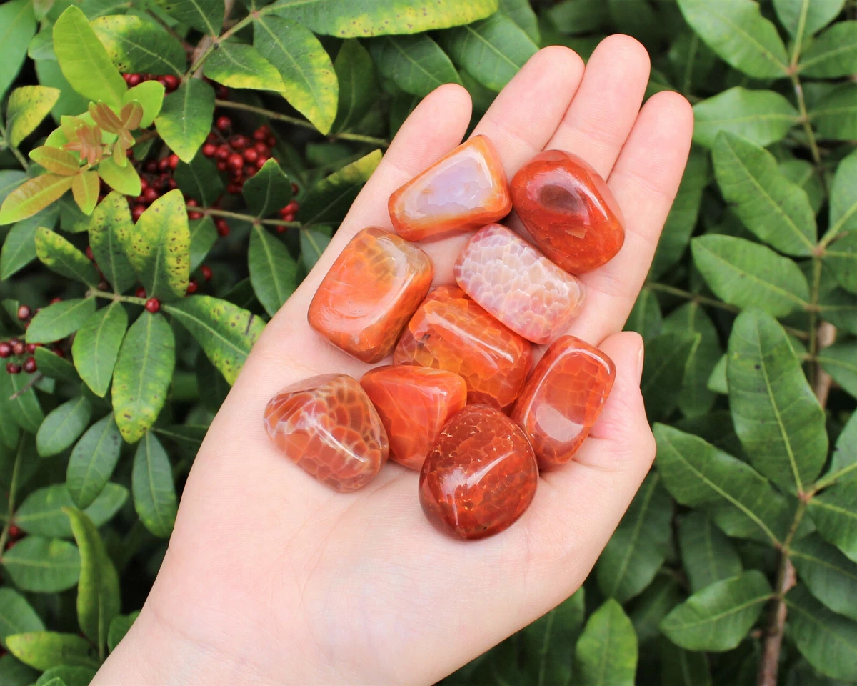 1 lb Bulk Wholesale Fire Agate Tumbled Stone Crystal Healing