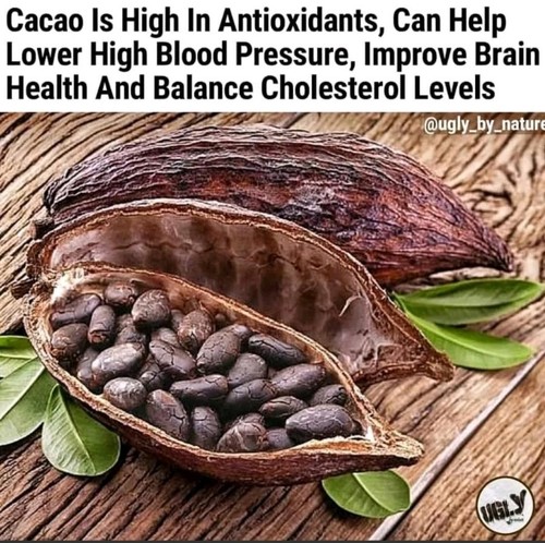 Protein.Detox! 6superfoods in 1. Hemp,Chlorella,Barley Grass,Cacao,Turmeric,Kale - Picture 8 of 10