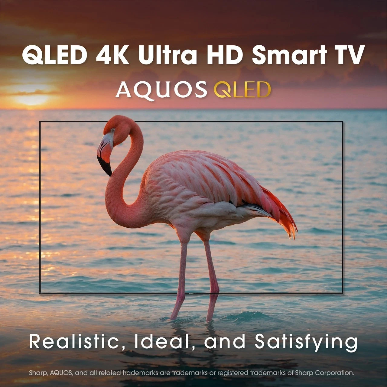 Sharp 55" inch AQUOS QLED 4K Ultra HD Smart Xumo TV