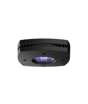 AI Prime 16HD Reef schwarz