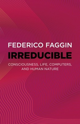 Irreducible: Consciousness, Life, Computers, and Human Nature