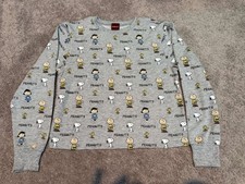 Peanuts Snoopy Charlie Brown Graphic Sweatshirt Pullover Grey Adult M