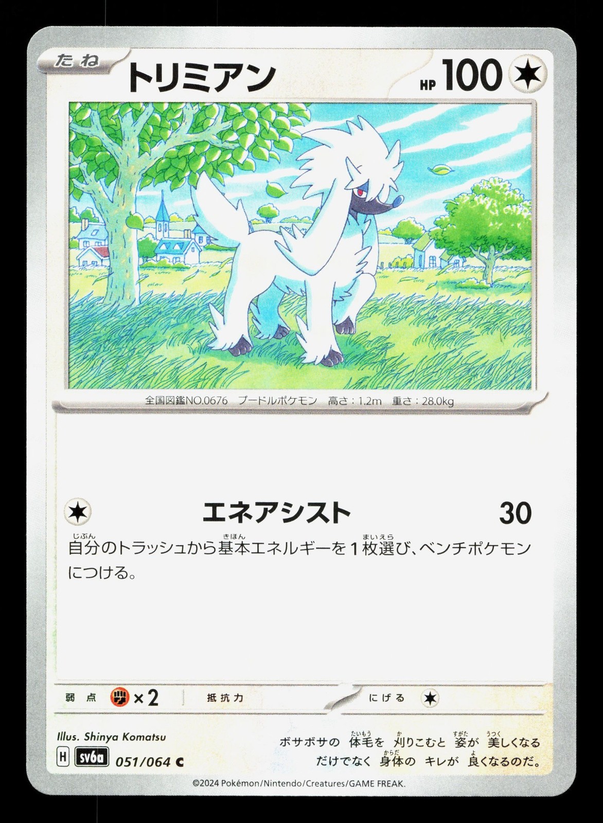 Furfrou 051/064 Night Wanderer NM Japanese Pokemon Card TCG