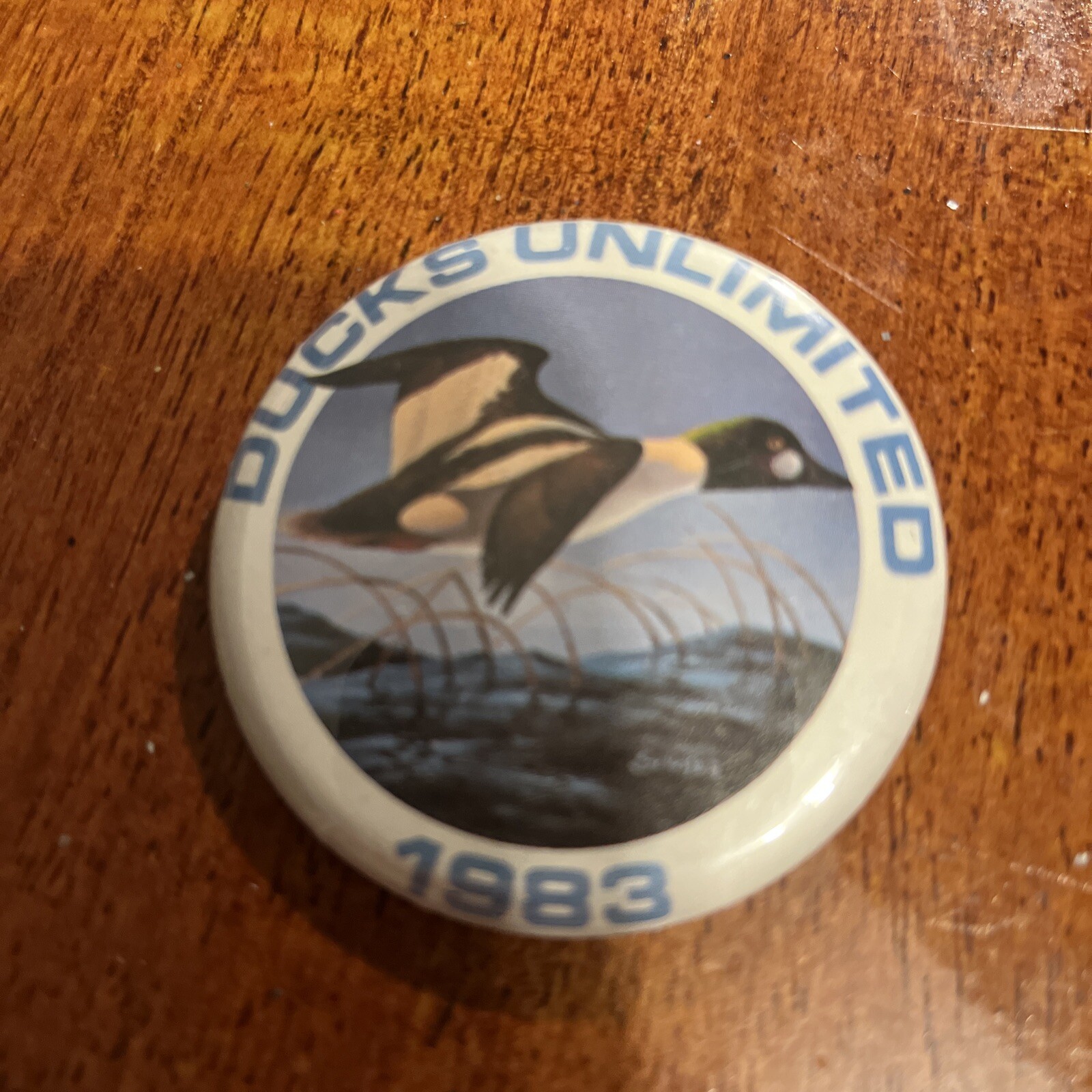 Pin's Ancien Permis De Pêche Pennsylvanie 1975 – N°423816 – Objet De Collection Ville