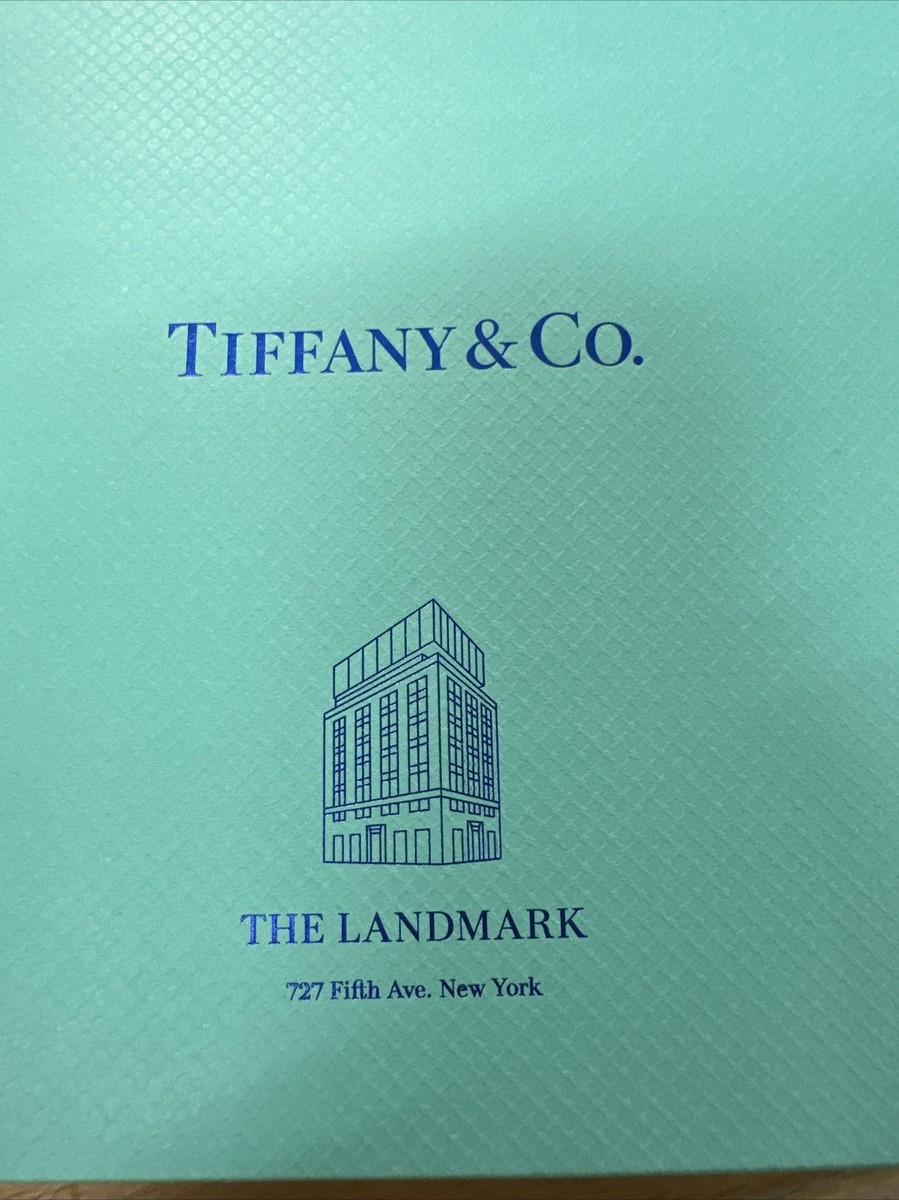 Tiffany & Co NYC Landmark Flagship Exclusive Packaging - Shopping Bags -  NEW!