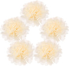 5Pcs Paper Pom Poms, 6 Inch Paper Flowers Tissue Paper Flowers Mexican Paper Flo