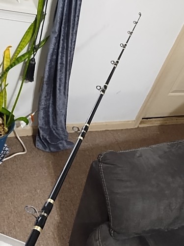 Trolling Fishing Rod Daiwa Saltist 6'6" MH 15-30lb And Reel Sealine 400H - Picture 18 of 18