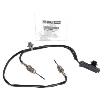 Sensore Di Temperatura Dei Gas Per Peugeot Opel Citroën DS 9812376480