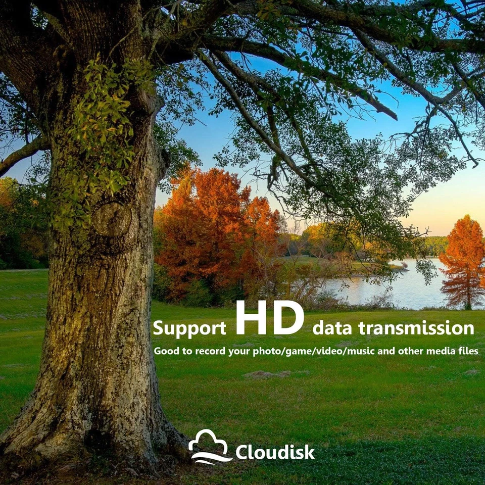 10 Pack 4 GB Micro SD Card in Bulk Microsdhc Con Adattatore SD Lettore Di Schede - Immagine 3 di 4