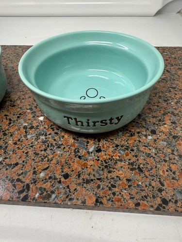 2 Pet Bowls By Signature Housewares Thirsty & Feed Me Blue Turquoise Teal Clean - Picture 4 of 9