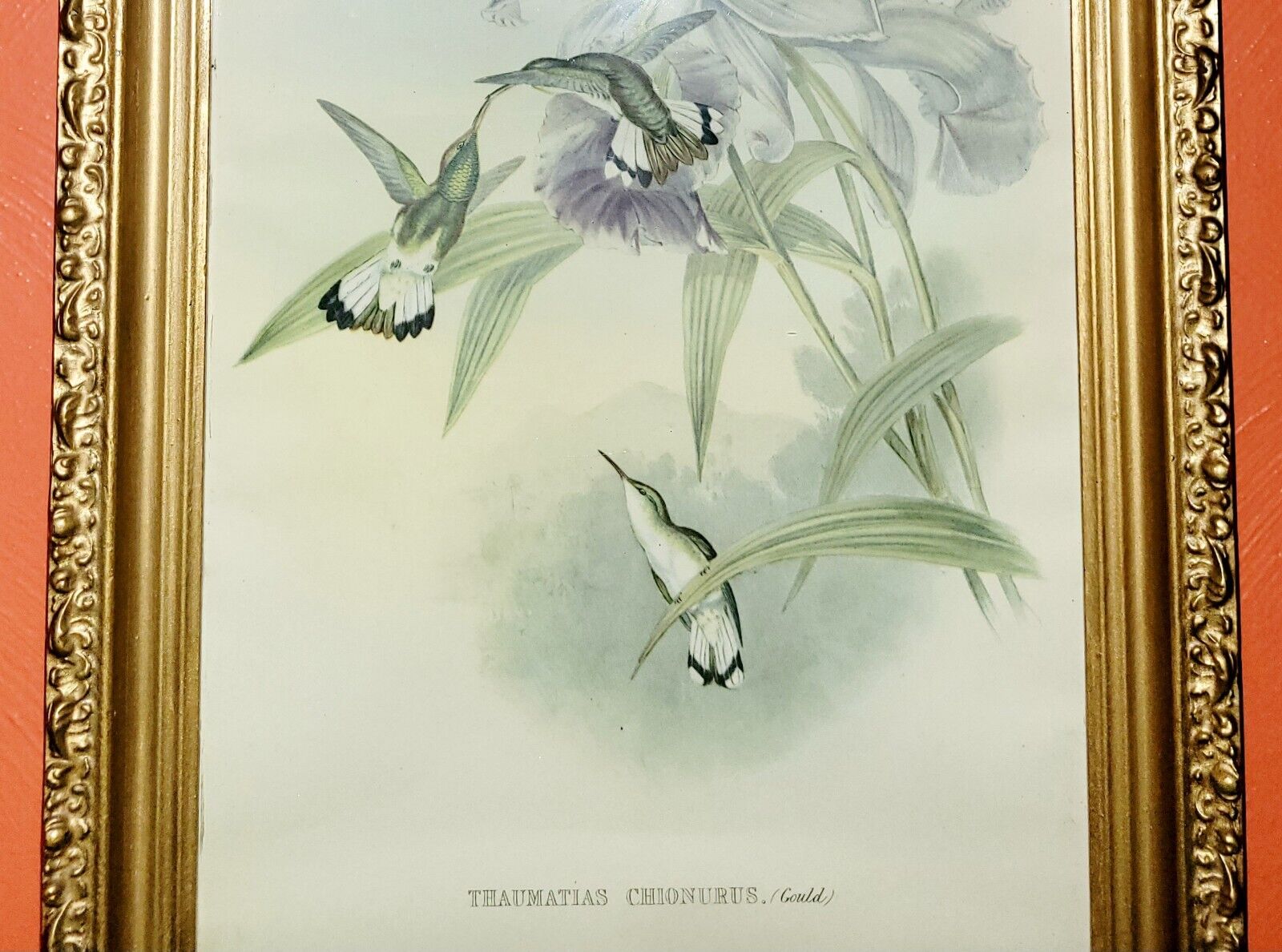 Picture 6 of 24