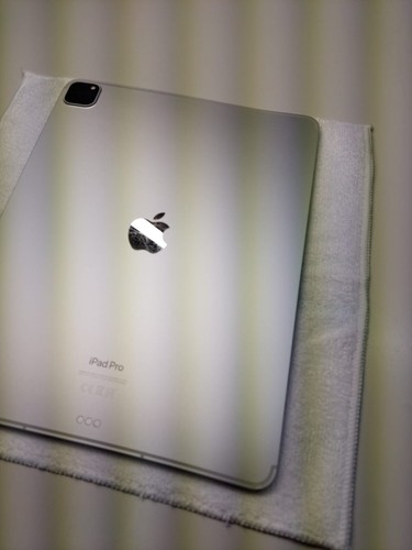 Apple iPad Pro 6. Gen 128GB Wi-Fi + 5G 12,9 Zoll Silver Silber Defekt - Bild 12 von 15