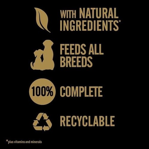 Cesar Natural Goodness Casserole Wet Dog Food for Adult Dogs with Chicken 16pack - Picture 3 of 3