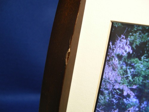 Smart Parts "Sync Pix" Digital Photo Frame Model (SP x 8) - Picture 4 of 11