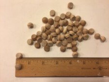 60 Pack Unfinished Wood Mushroom Button 7/16" 25/64' opening