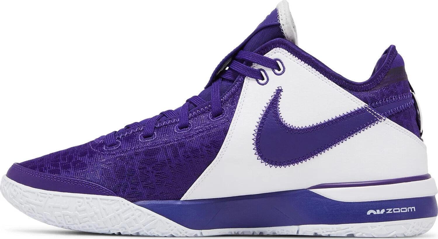 Titan x Nike Zoom LeBron NXXT Gen EP Titan Hoops Fair for Sale