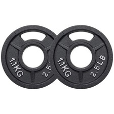 Cast Iron Weight Plates Olympic 2 Inch Strength Training Home Gym Set 2.5lb X 2