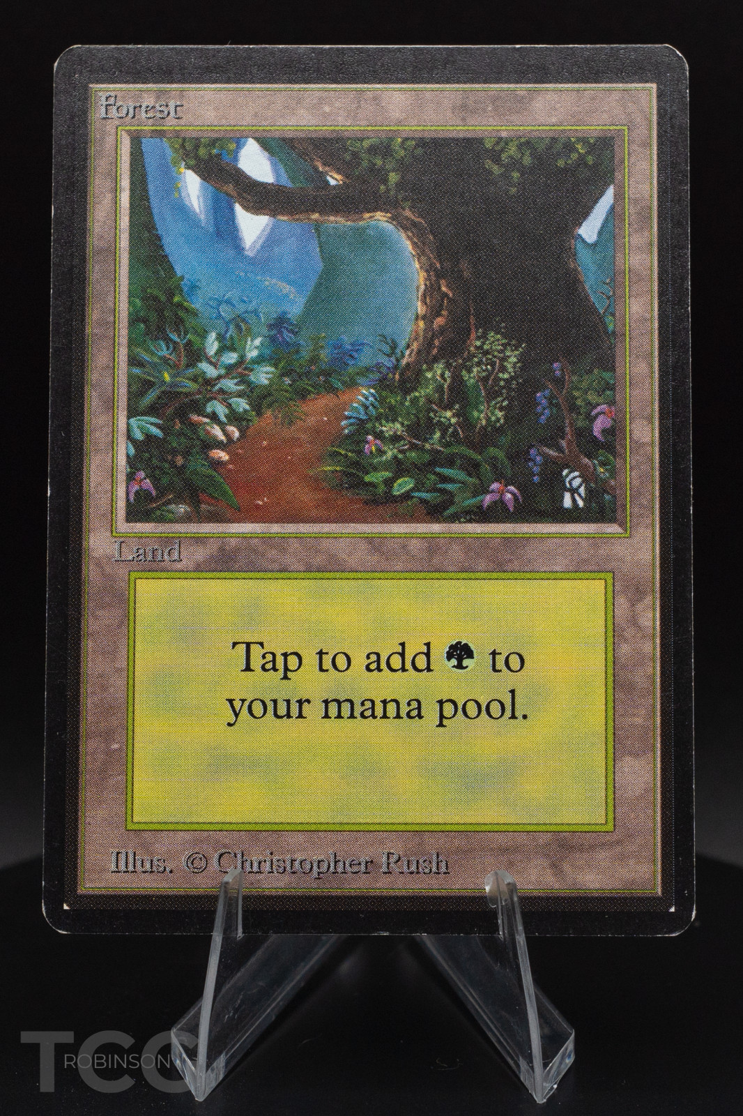 Forest (B): 1993 Magic the Gathering - Limited Edition Beta Regular